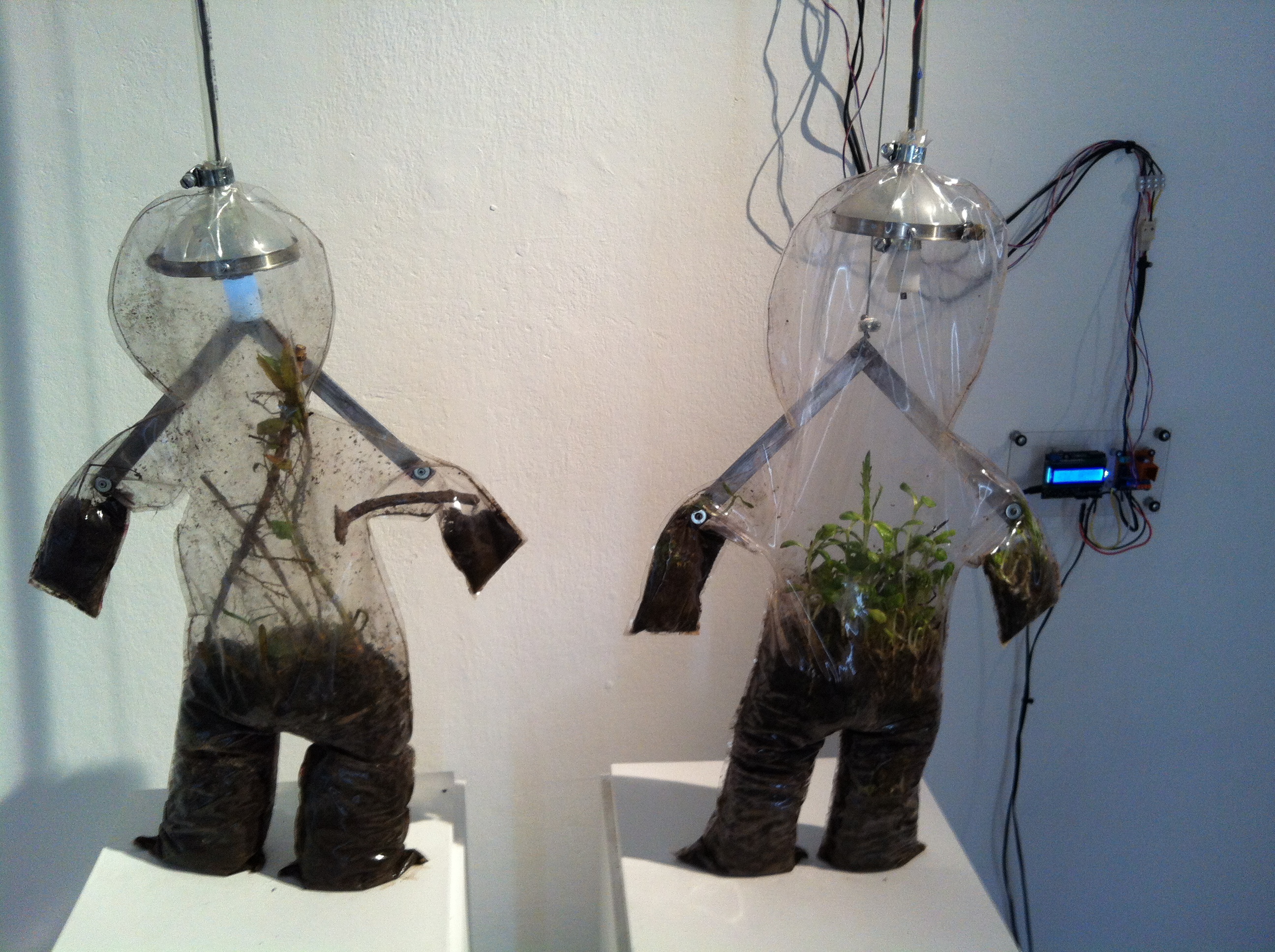 "Parasitoides" Instalación mecánica - Work in Progress Micro-ecosistema + Corazón mecánico
